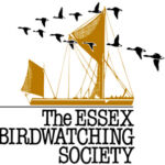 Essex Birdwatching Society